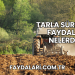 Tarla Sürmenin Faydaları Nelerdir?