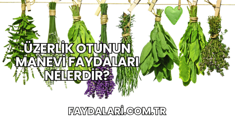 Üzerlik Otunun Manevi Faydaları Nelerdir?