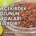 Üzüm Çekirdek Tozunun Faydaları Nelerdir?