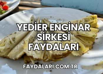 Yedier Enginar Sirkesi Faydaları