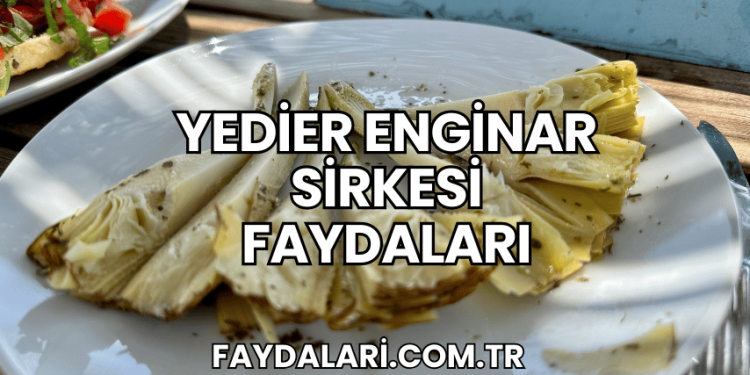 Yedier Enginar Sirkesi Faydaları