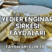 Yedier Enginar Sirkesi Faydaları