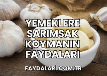 Yemeklere Sarımsak Koymanın Faydaları