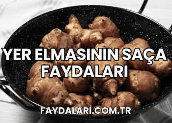Yer Elmasının Saça Faydaları