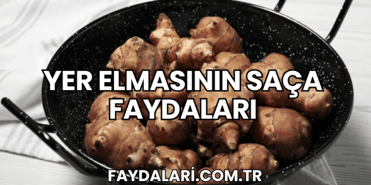 Yer Elmasının Saça Faydaları