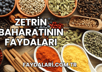Zetrin Baharatının Faydaları