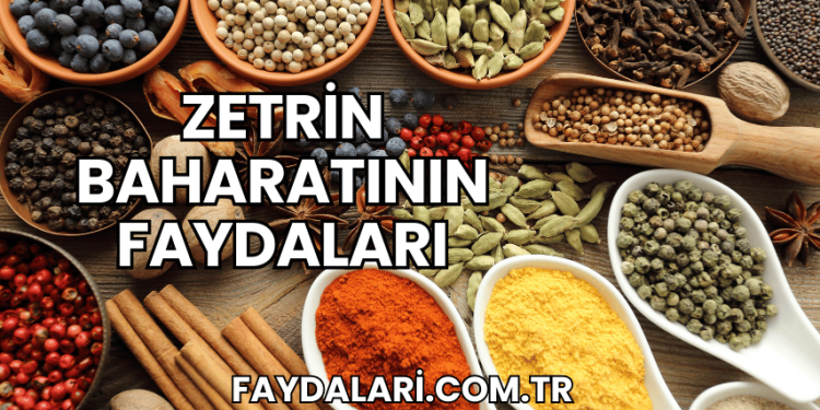 Zetrin Baharatının Faydaları