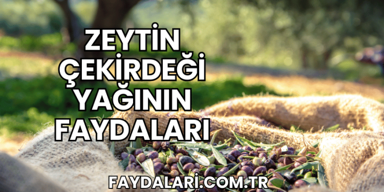 Zeytin Çekirdeği Yağının Faydaları