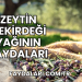 Zeytin Çekirdeği Yağının Faydaları