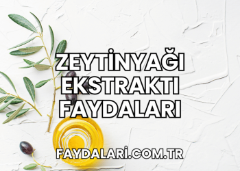 Zeytinyağı Ekstraktı Faydaları