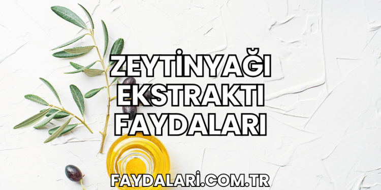 Zeytinyağı Ekstraktı Faydaları