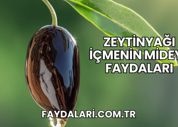 Zeytinyağı İçmenin Mideye Faydaları