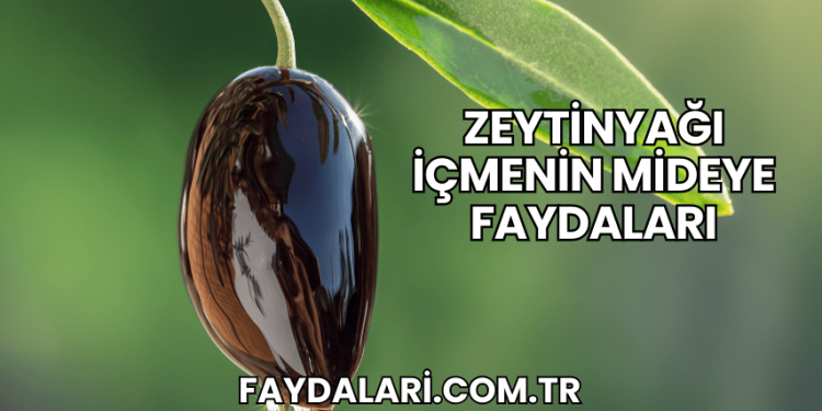 Zeytinyağı İçmenin Mideye Faydaları