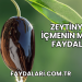 Zeytinyağı İçmenin Mideye Faydaları