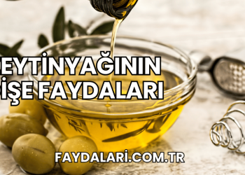 Zeytinyağının Dişe Faydaları