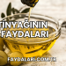 Zeytinyağının Dişe Faydaları