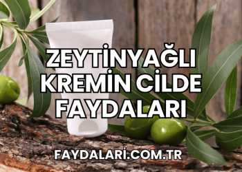 Zeytinyağlı Kremin Cilde Faydaları