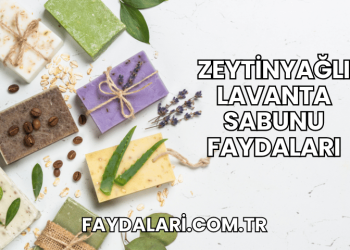 Zeytinyağlı Lavanta Sabunu Faydaları