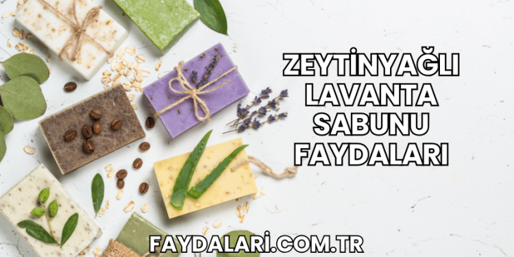 Zeytinyağlı Lavanta Sabunu Faydaları