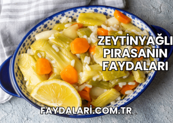 Zeytinyağlı Pırasanın Faydaları