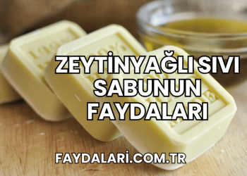 Zeytinyağlı Sıvı Sabunun Faydaları