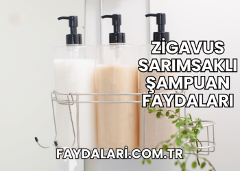Zigavus Sarımsaklı Şampuan Faydaları