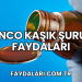Zinco Kaşık Şurup Faydaları