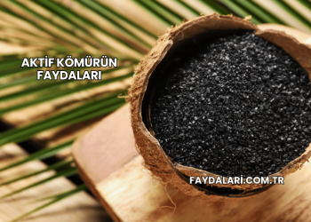 Aktif Kömürün Faydaları
