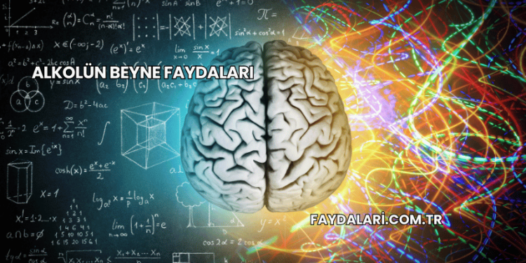 Alkolün Beyne Faydaları