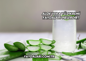 Aloe Vera Yüz Kremi Faydaları Nelerdir?
