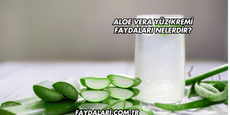 Aloe Vera Yüz Kremi Faydaları Nelerdir?