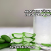 Aloe Vera Yüz Kremi Faydaları Nelerdir?