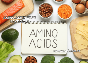 Amino Asitin Cilde Faydaları