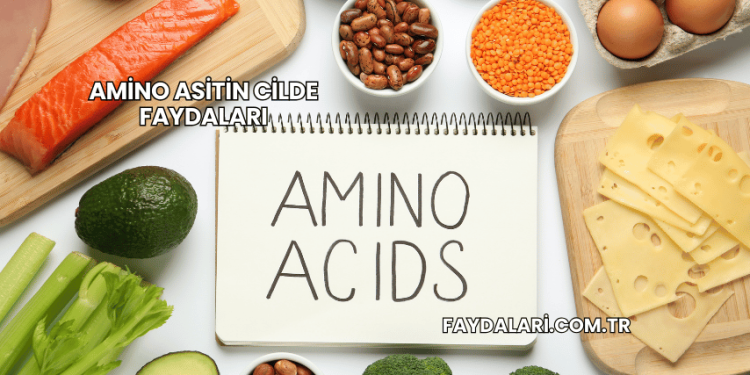 Amino Asitin Cilde Faydaları