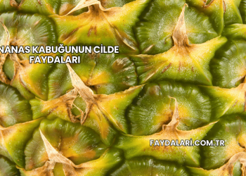 Ananas Kabuğunun Cilde Faydaları