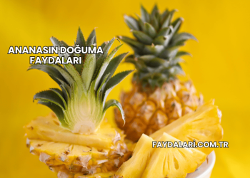 Ananasın Doğuma Faydaları