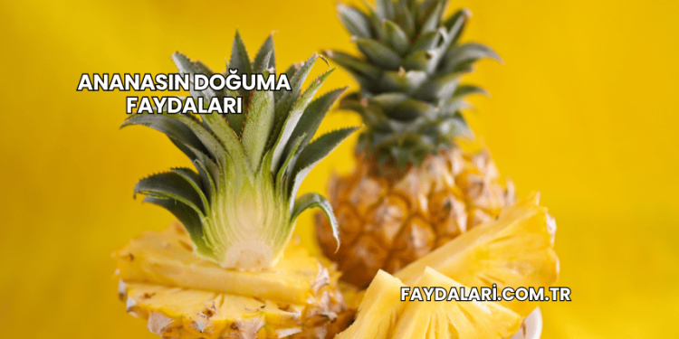 Ananasın Doğuma Faydaları
