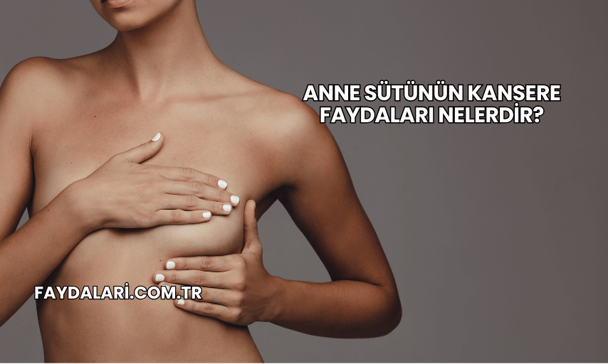 Anne Sütünün Kansere Faydaları Nelerdir?