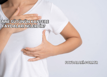Anne Sütünün Kansere Faydaları Nelerdir?