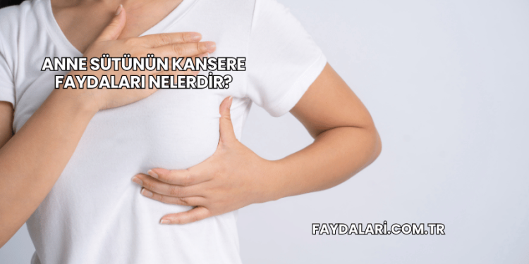 Anne Sütünün Kansere Faydaları Nelerdir?
