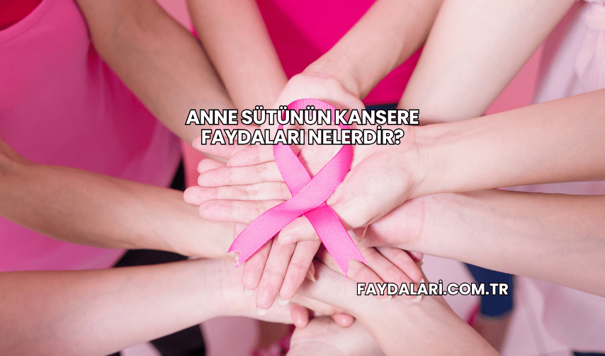 Anne Sütünün Kansere Faydaları Nelerdir?