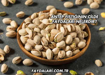 Antep Fıstığının Cilde Faydaları Nelerdir?