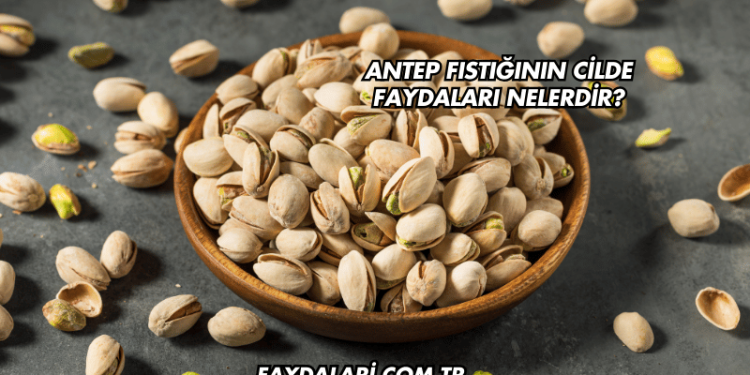 Antep Fıstığının Cilde Faydaları Nelerdir?