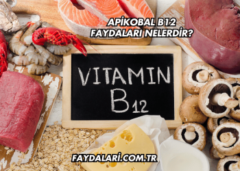 Apikobal B12 Faydaları Nelerdir?