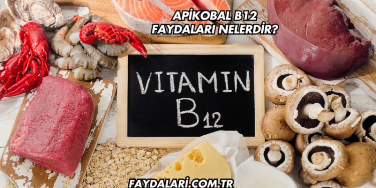 Apikobal B12 Faydaları Nelerdir?