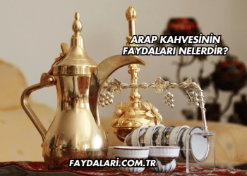Arap Kahvesinin Faydaları Nelerdir?