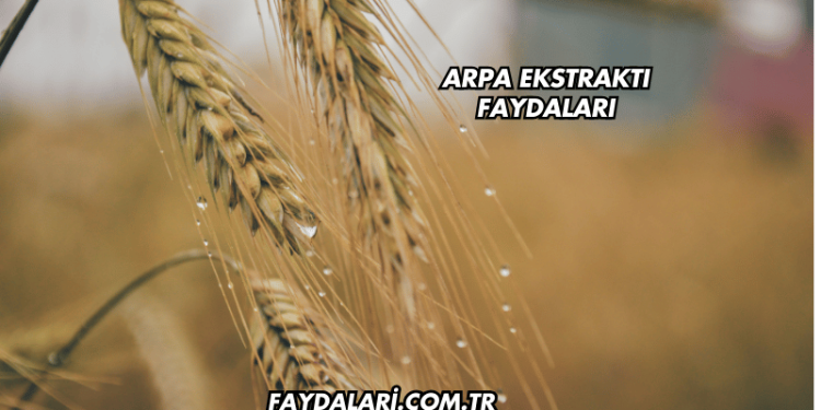 Arpa Ekstraktı Faydaları