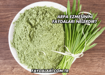Arpa Ezmesinin Faydaları Nelerdir?