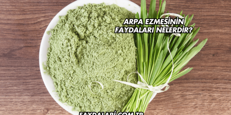 Arpa Ezmesinin Faydaları Nelerdir?
