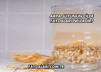 Arpa Suyunun Cilde Faydaları Nelerdir?